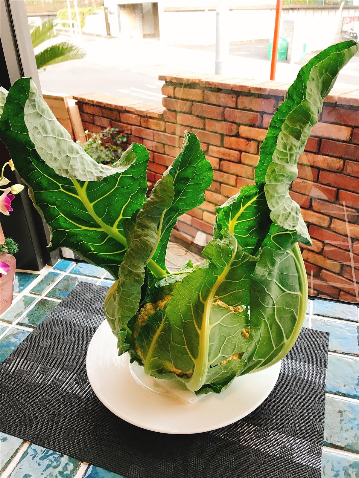 朝採れのカリフラワー