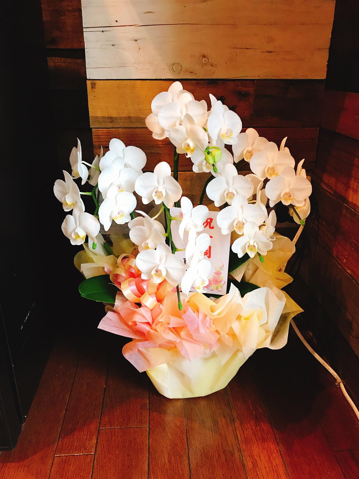 本日1周年を迎えました